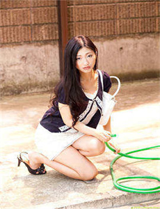 闹在碗中