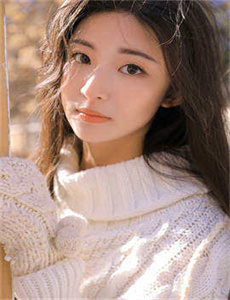 决战燕子门