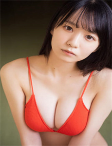暗战 2019